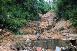 Vietnam mejora alerta temprana de tormentas y lluvias 