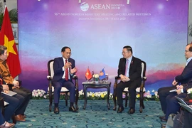 Vietnam contribuye activamente al desarrollo de la ASEAN