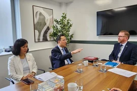 Impulsan Vietnam e Irlanda del Norte cooperación multifacética