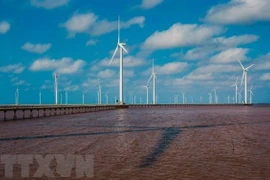 Debaten potencialidades de Vietnam para desarrollar energía eólica marina