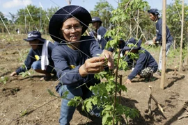 Filipinas y BM firman acuerdo para modernización de la agricultura