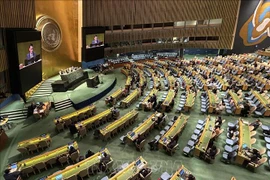Vietnam enfatiza enfoque multilateral para solventar cuestiones del cambio climático