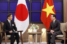 Destacan aportes de Asociación de Amistad Kyushu-Vietnam a nexos bilaterales