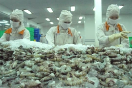 Vietnam, segundo mayor exportador de camarón del mundo 