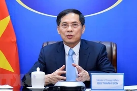 Resaltan aportes de diplomacia de Vietnam al desarrollo nacional