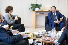 Vietnam se compromete a acompañar a UNESCO en desarrollo sostenible de cultura 