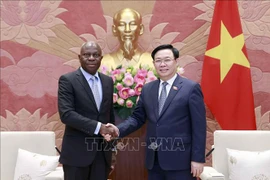 Piden al OIT apoyar Vietnam en estudio de políticas para iniciativas globales 