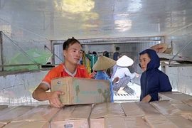 Provincia vietnamita exporta segundo lote de caña de azúcar fresca a EE.UU.