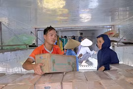 Provincia vietnamita exporta segundo lote de caña de azúcar fresca a EE.UU.
