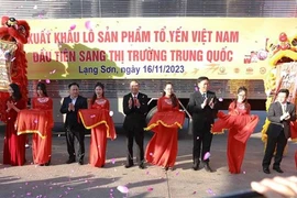 Anuncian la exportación de primeros nidos de golondrina de Vietnam a China