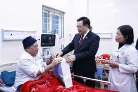 Revisan construcción de nuevas zonas rurales en provincia vietnamita