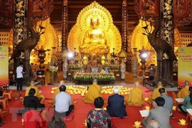 Miles de visitantes asisten a Festival de la pagoda Bai Dinh