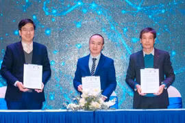 Mejoran capacidad empresarial digital de jóvenes vietnamitas