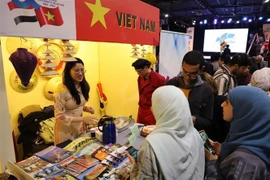 Divulgan imágenes de Vietnam en Festival de Cultura en Egipto