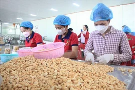 Binh Phuoc registra superávit comercial de 220 millones de dólares en dos meses