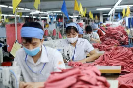 Provincia vietnamita recauda 470 millones de dólares de inversión extranjera
