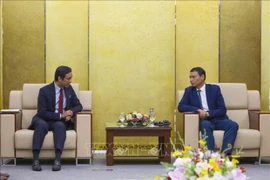 Da Nang aspira a colaborar con Malasia en formación de mano de obra de alta calidad