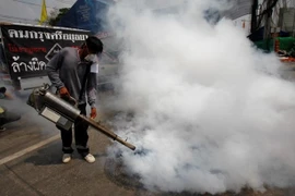 Tailandia reporta alto récord en casos de dengue