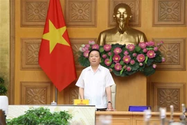Vietnam por garantizar protección ambiental y desarrollo sostenible