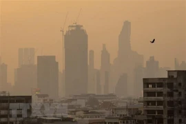 ASEAN mira hacia cero emisiones netas