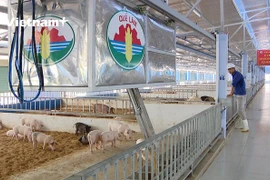 Promueven economía circular sobre plásticos en Vietnam 