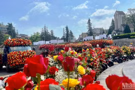 Inauguran mayor festival de rosas del noroeste en Vietnam