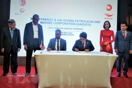 Nueva empresa conjunta entre entidades vietnamita y malasia 