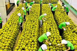 Vietnam impulsa exportación al mercado chino