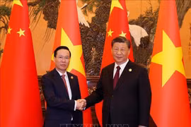 Presidente vietnamita se reúne con el máximo dirigente chino Xi Jinping