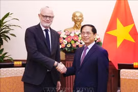 Vietnam otorga importancia de fomentar cooperación con Francia, afirma canciller