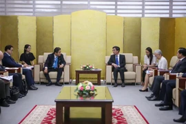 Proponen abrir vuelo directo entre ciudades japonesas y vietnamitas