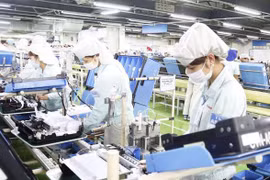 Visita a Vietnam de premier holandés llevará nexos bilaterales a nueva altura