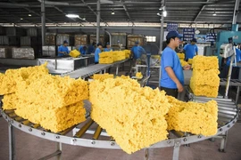 Proyectos de inversión ayudan a reforzar relaciones Vietnam-Laos