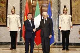 2023 es un año exitoso para diplomacia vietnamita, dijo académico italiano