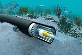 Se pondrán en funcionamiento más cables submarinos nuevos en Vietnam