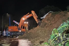 Instan a remediar consecuencias por deslizamientos de tierra en Lam Dong