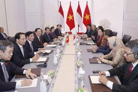 Vietnam e Indonesia acuerdan profundizar más nexos binacionales