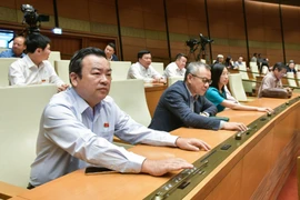 Parlamento aplaza la ratificación de Ley de Tierras (modificada)