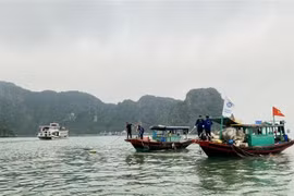 Ciudad de Ha Long se esfuerza por reducir contaminación marina