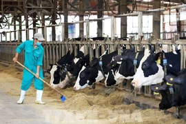 Vinamilk de Vietnam recibe premio en Congreso Mundial de Industria Láctea