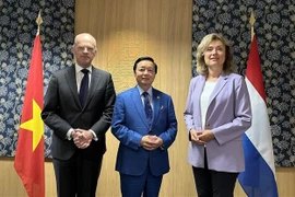 Vietnam otorga gran importancia a asociación integral con Países Bajos