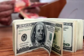 Camboya despliega medidas para estabilizar tipos de cambio