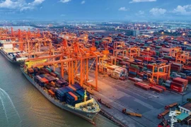 Vietnam sigue creciendo rápidamente en 2023: experto británico