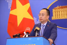 Cancelan subasta de ordenaciones de origen vietnamita en China