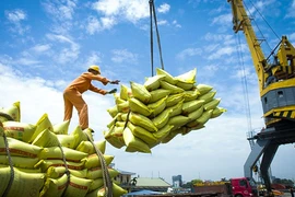 Vietnam se esfuerza por crear entorno transparente y abierto para exporación de arroz