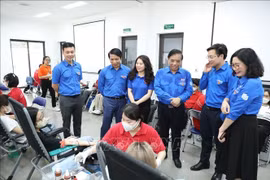 Jóvenes de Hanoi promueven transformación digital en actividades voluntarias