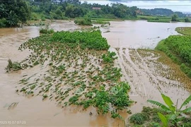 Al menos tres muertos por fuertes lluvias e inundaciones en Vietnam