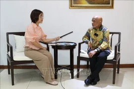 Vietnam logra éxitos gracias a la “diplomacia de bambú”, evalúa experto indonesio