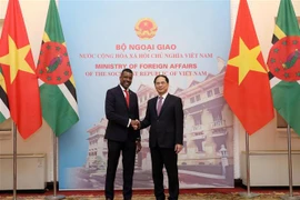 Vietnam y República Dominica estrechan relaciones bilaterales 