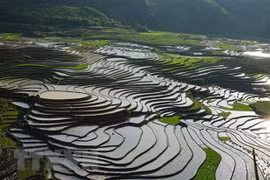 Prensa singapurense recomienda tres destinos vietnamitas para escapar del intenso calor